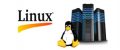 linux-server-hosting-500x500